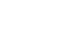 Fisual Logo