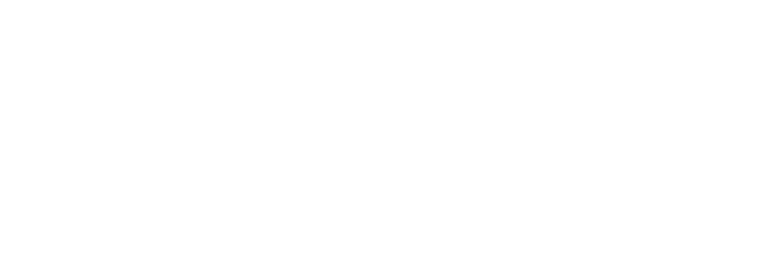 Solus by G4M logo